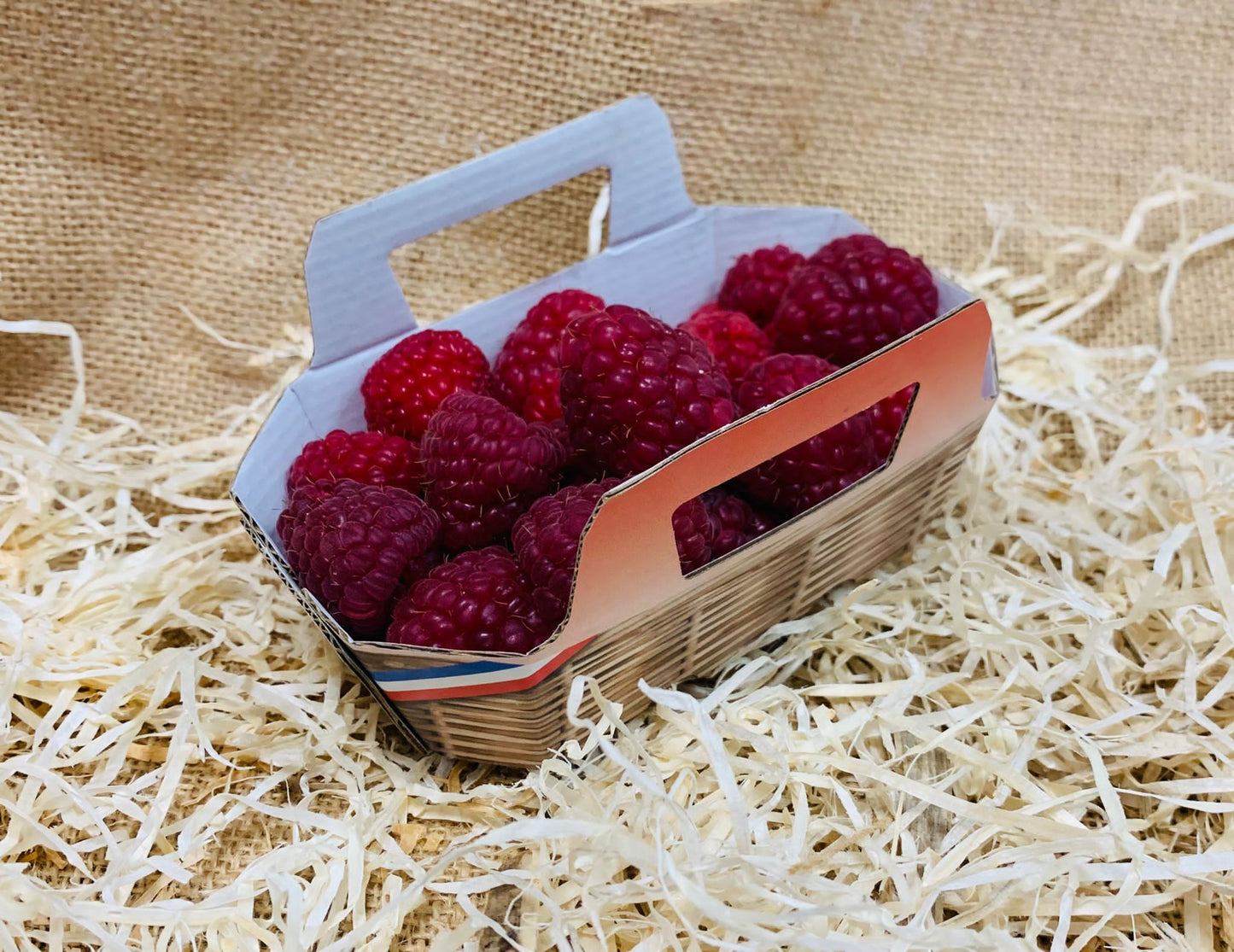 framboises en 125g FR