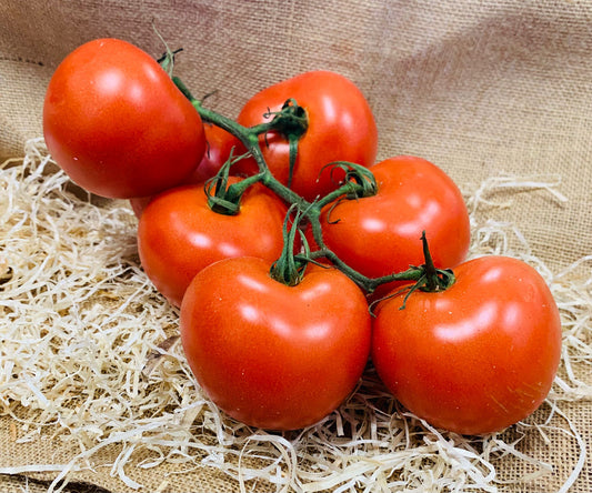 tomates grappes FR 34