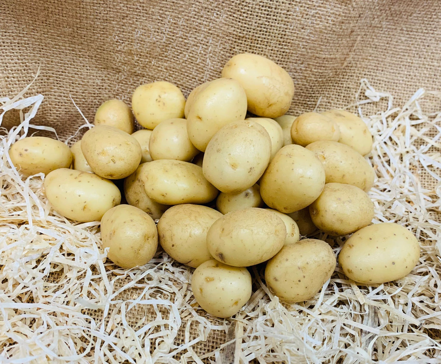 Pommes de terre mitraille FR