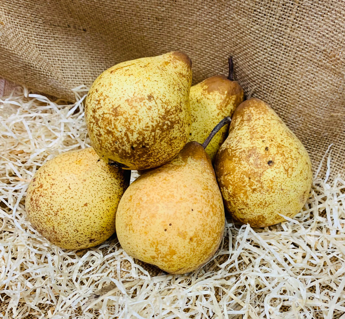 poires rochas đ