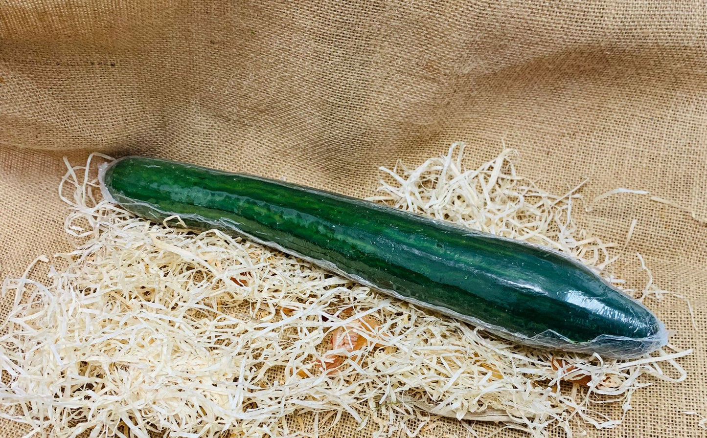concombre long pièce 🦽 FR 34