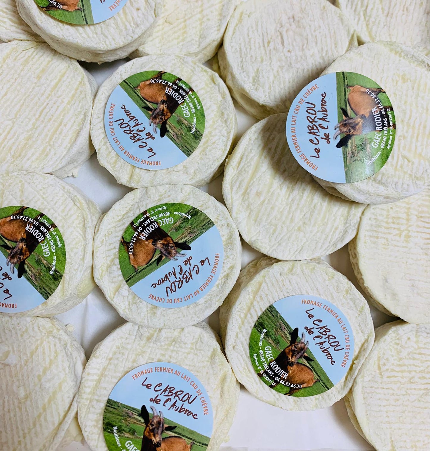 fromage de chèvre CABROU 80g. FR (lait cru)