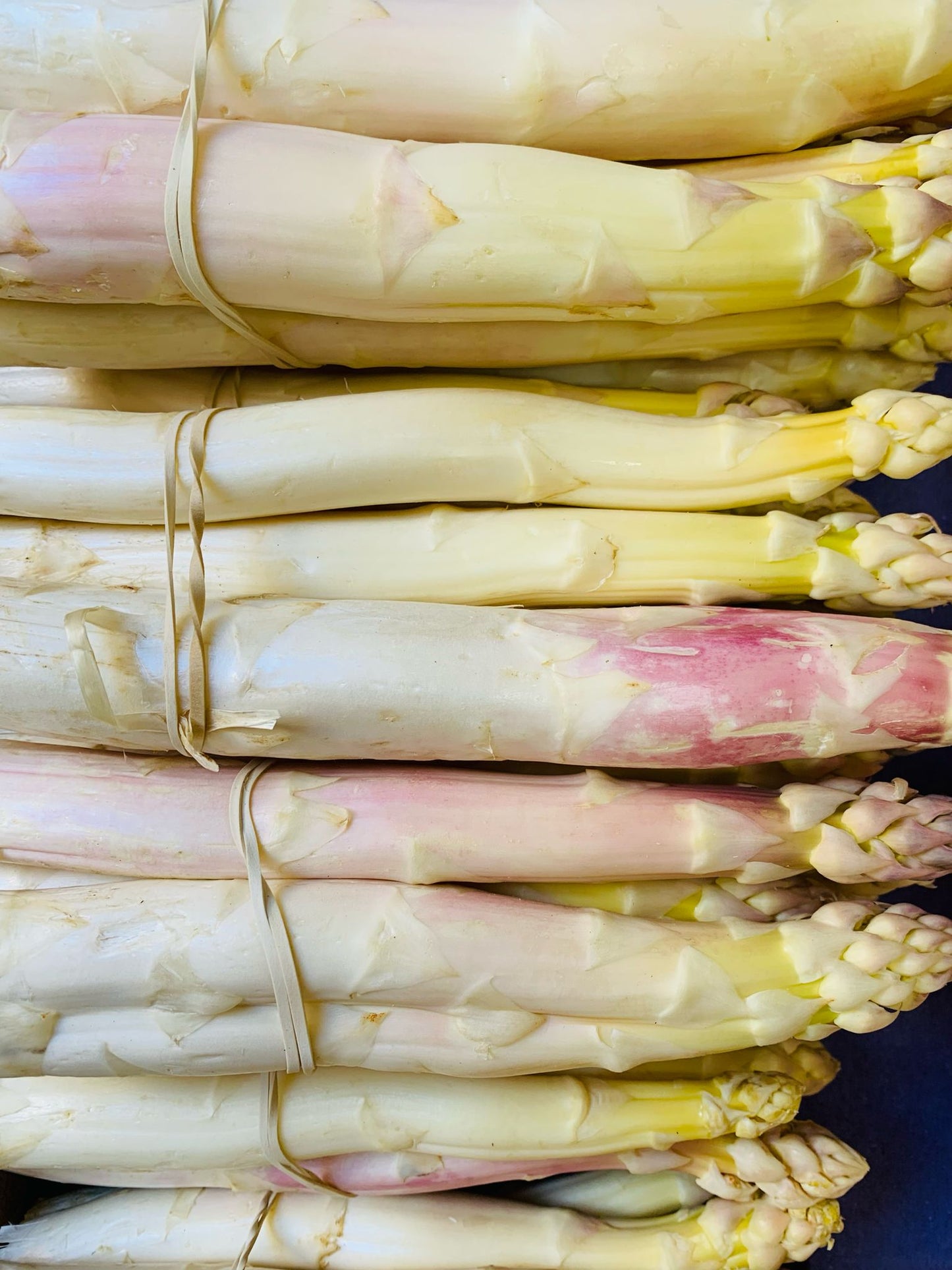 Asperges blanches botte de 500g FR
