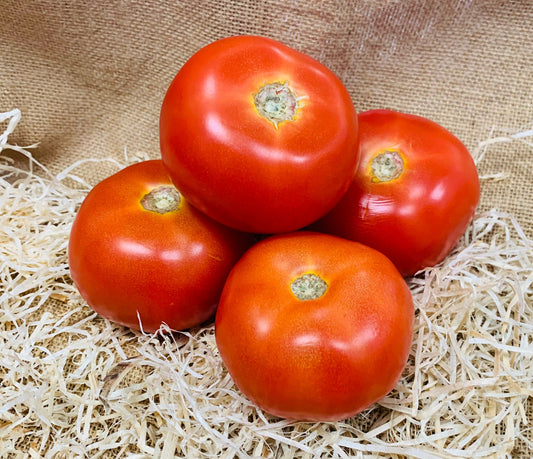 tomates rondes 🌍