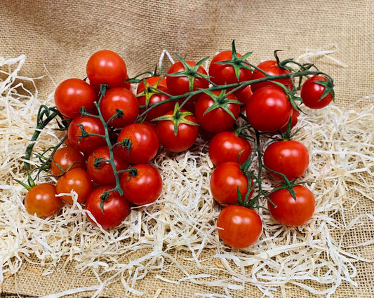 tomates cerises grappes 🌍