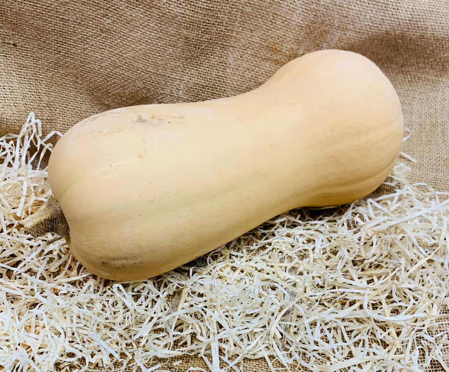 Courge butternut pièce (environ 1.400g) 🦽 FR