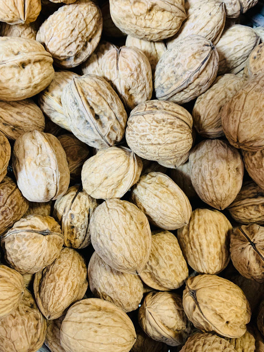 Noix de Grenoble sèches FR38 🦽