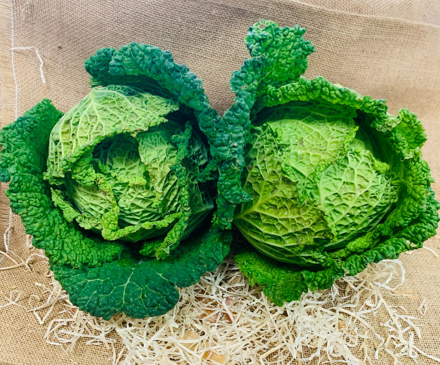 chou vert frisé pièce (environ 700g.)🦽FR