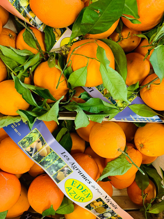 Oranges de Nice FR