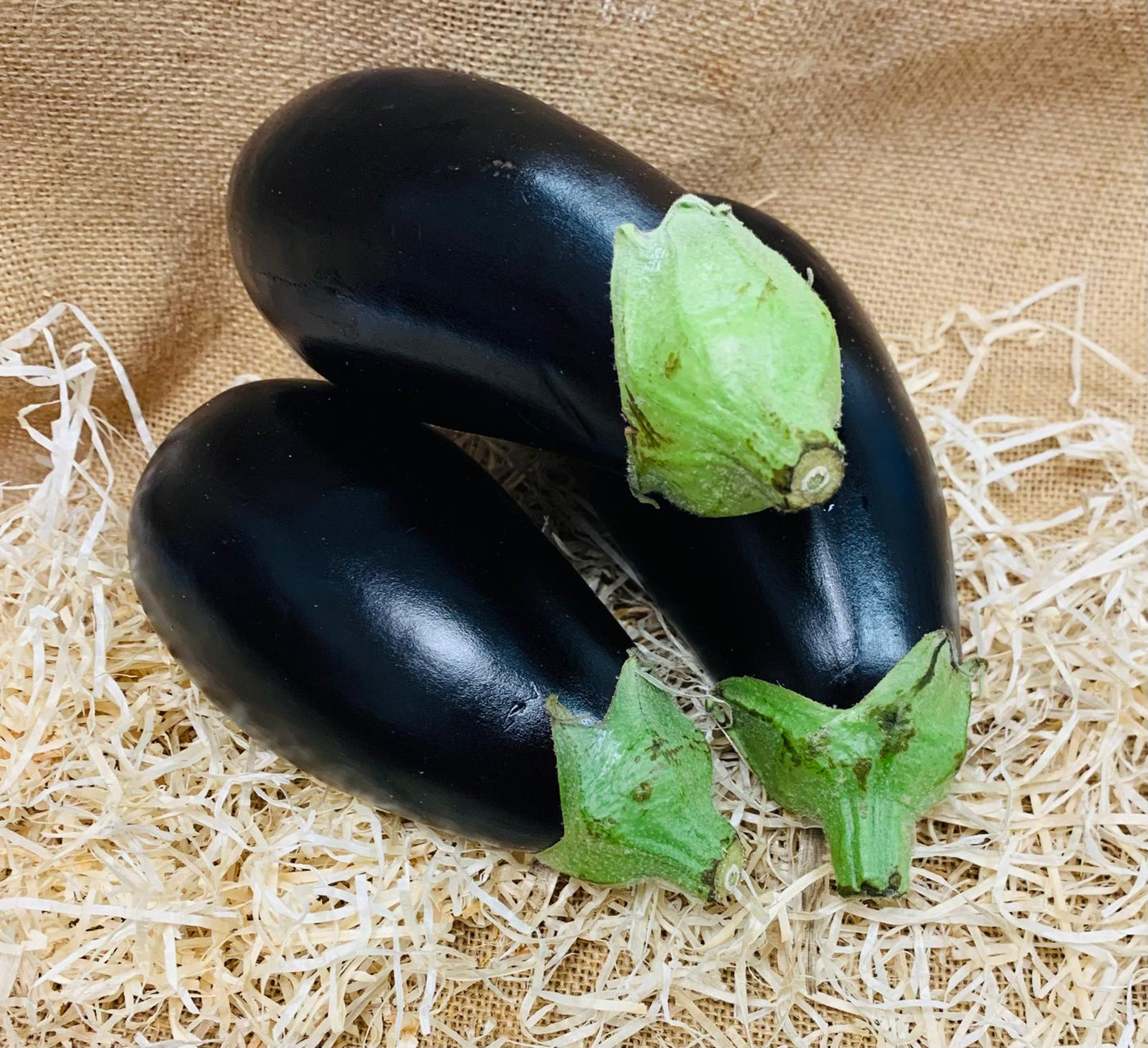 Aubergines noires 🌍