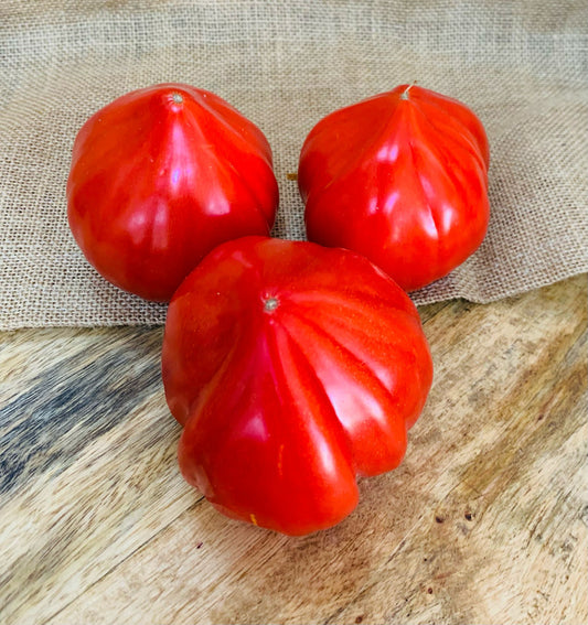 Tomates cœur de bœuf  🦽 FR34