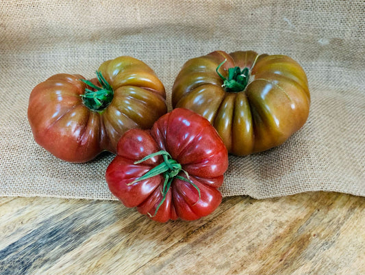 Tomates noire de Crimée🦽  FR34