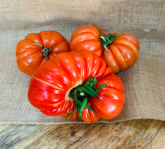 Tomates Marmande 🦽 FR34