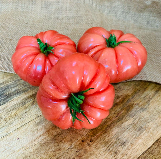 Tomates rose de Berne🦽  FR34