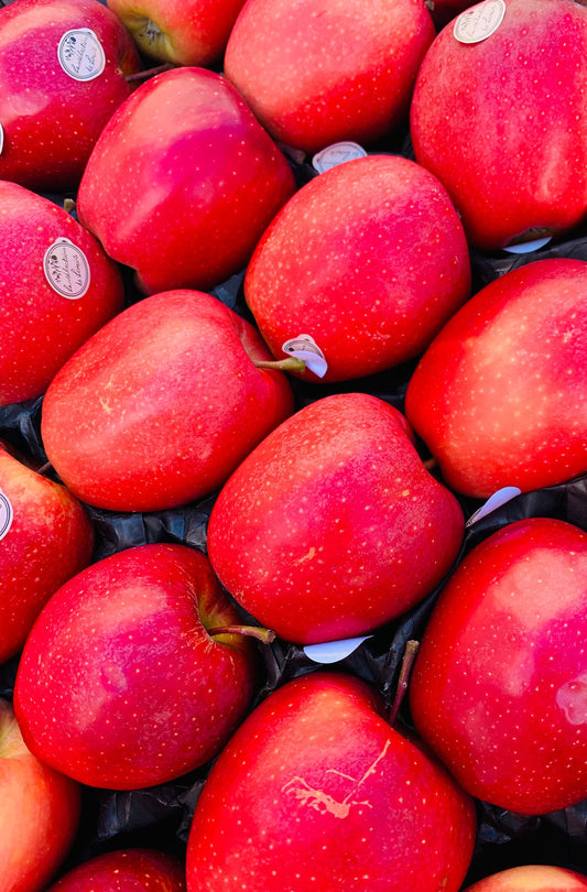 Pommes Gala FR