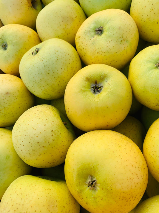 pommes reinette d'or FR34 bio