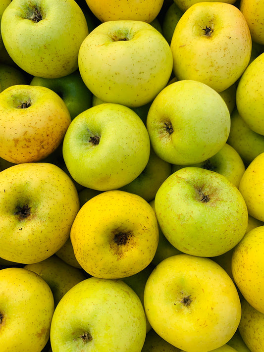 Pommes Chantecler FR 34 BIO