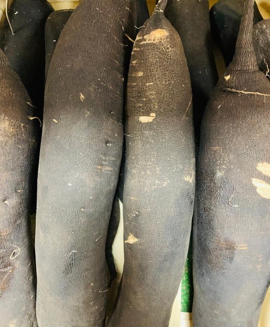 Radis noir (entre 300g et 500g) FR